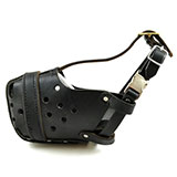  Muzzle 