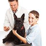  Vaccination 