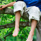  Climbing Trees 
