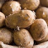  Jersey Royals 