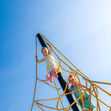  Jungle Gym 