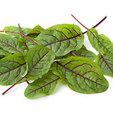  Sorrel 