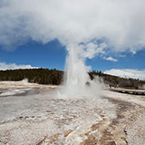  Old Faithful 