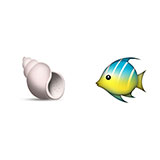  Shellfish 