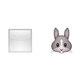  White Rabbit 