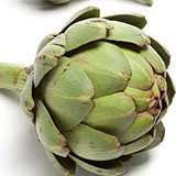  Artichoke 