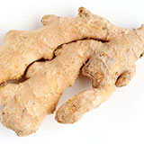  Ginger 