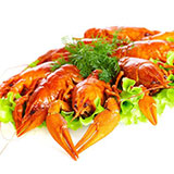  Lobster 