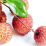  Lychees 