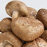  Shiitake 