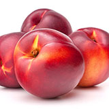  Nectarine 