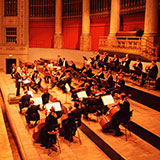 Orchestra 