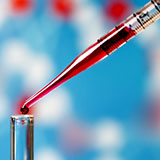  Pipette 