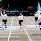  Track 