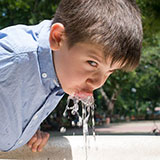  Water Fountain 