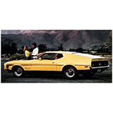  Boss 351 
