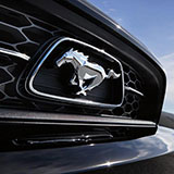  Mustang 