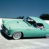  Thunderbird (Set 2) 