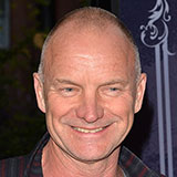  Sting 