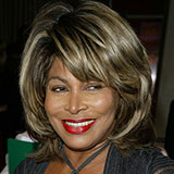  Tina Turner 