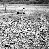  Drought 
