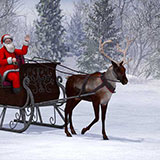  Reindeer 