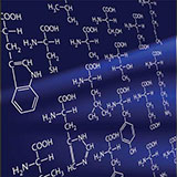  Amino Acids 