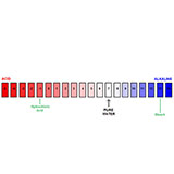  Ph Scale 