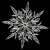  Snowflake 