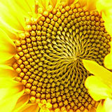  Symmetry 