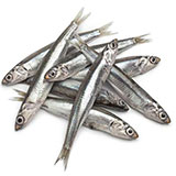  Anchovies 