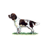  Springer 