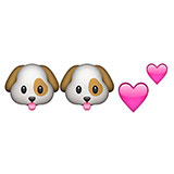  Hounds Of Love 