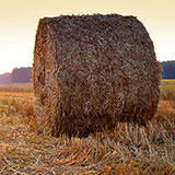  Bale Of Hay 
