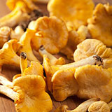  Chanterelles 