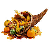  Cornucopia 