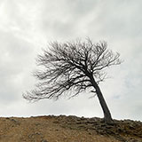  Denuded 