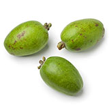  Feijoa 