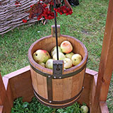  Pail 