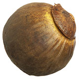  Sapote 
