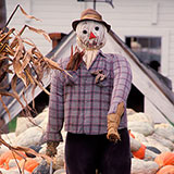  Scarecrow 