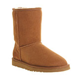  Uggs 