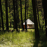  Yurt 