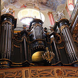  Organ 