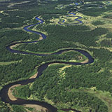  Oxbow 
