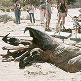  Tremors 