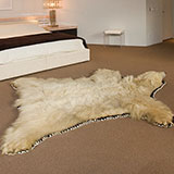  Bear Rug 