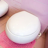  Bidet 