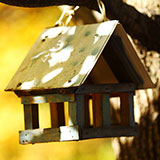 Birdhouse 