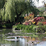 Pond 